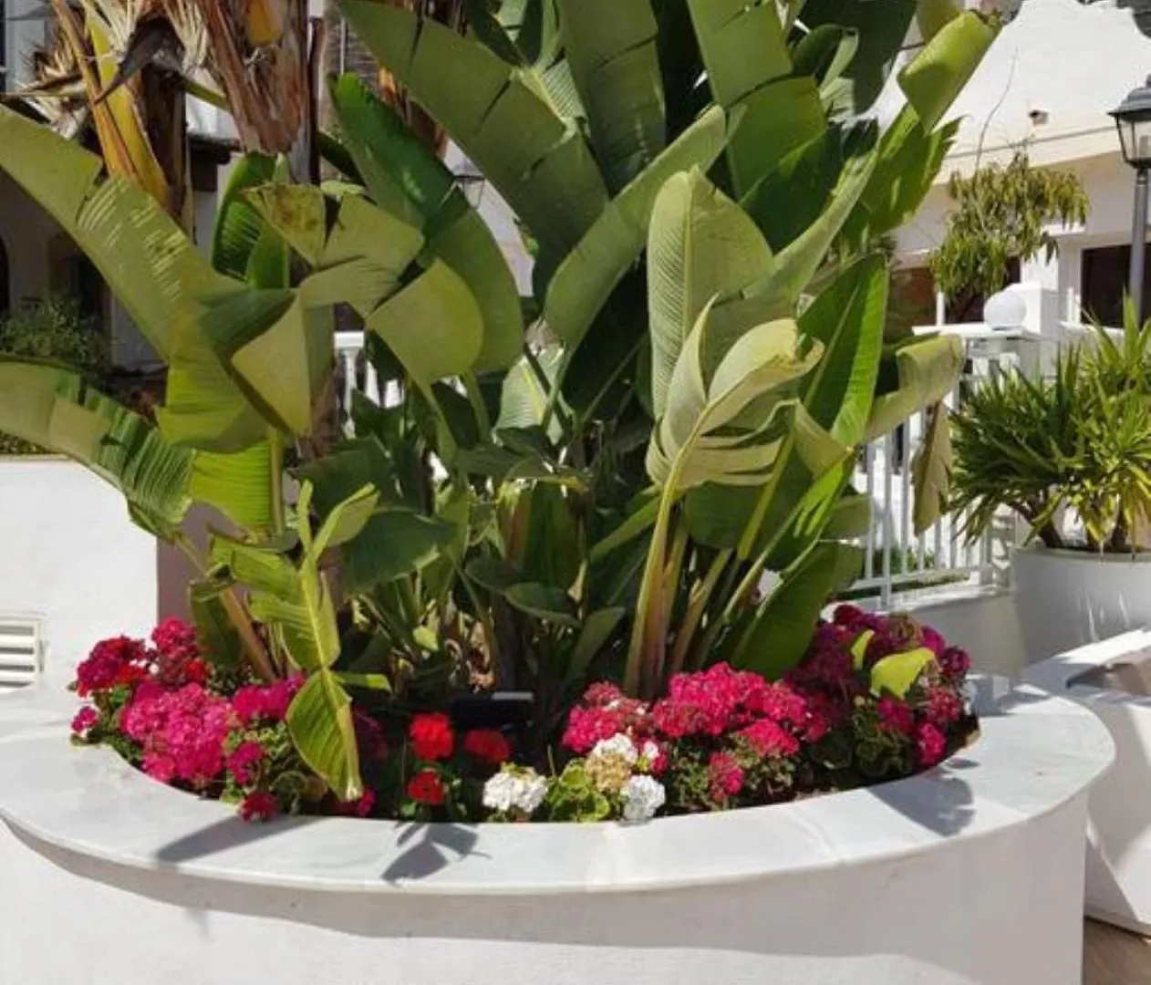 Casa Chico 2 Bedroom Townhouse 1 Mile From Marina & Beaches Marbella 0*,